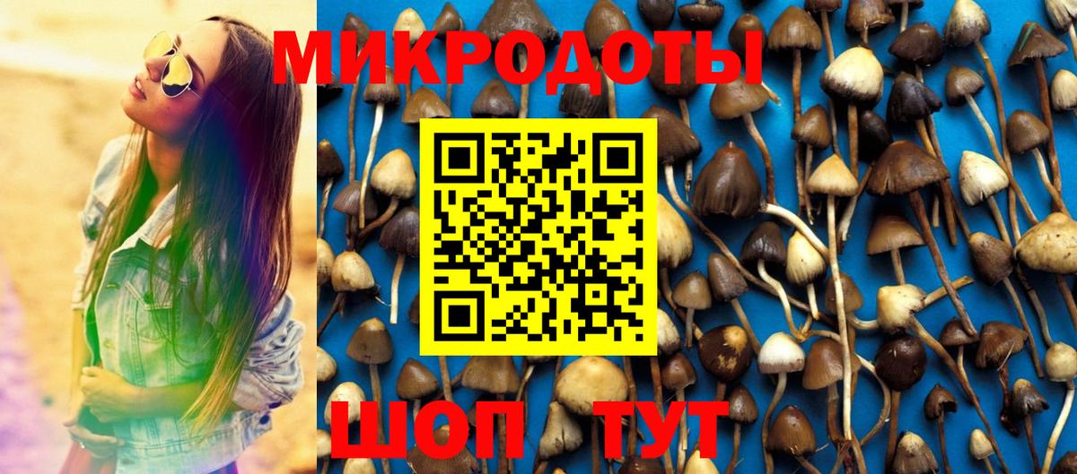 Галлюциногенные грибы Magic Shrooms  Галлюциногенные грибы мицелий  Вход с VPN  Строитель 
