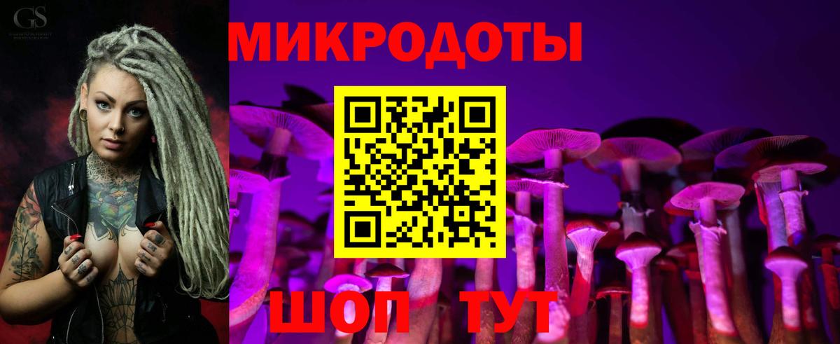 Галлюциногенные грибы Cubensis Строитель